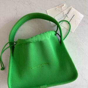 Alexander wang Ryan bag